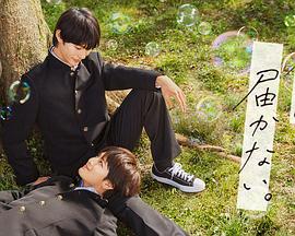 刘德华飙车海报剧照