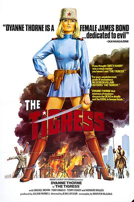 日夲黄色视频海报剧照